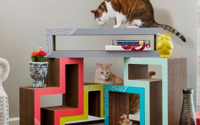 Cat Furniture Solutions for Apartments and Small Spaces