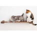 34 inch Escape Hatch - Wall Mounted for Cats
