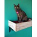 Artisan Made - (2) Floating Cat Wall Shelves + (1) Floating Cat Wall Bed
