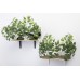 Canopy Cat Wall Shelves with Leaves - Set of (2)