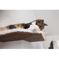 Fabric Covered Corner Cat Wall Shelf