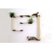 Mini Garden Complex - Wall Mounted for Cats
