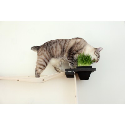 Planter - Wall Mounted for Cats