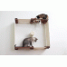 Square - Wall Mounted for Cats