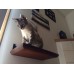 Stained Wooden Cat Wall Shelf