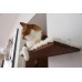 Fabric Covered Corner Cat Wall Shelf