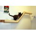 Abby's Ziggy Cat Wall Climber