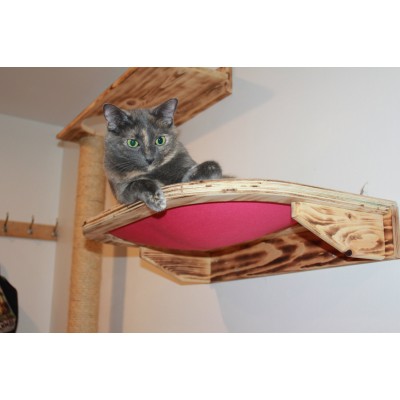 Cozy Kitty Wall Mounted Bunk
