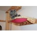 Cozy Kitty Wall Mounted Bunk