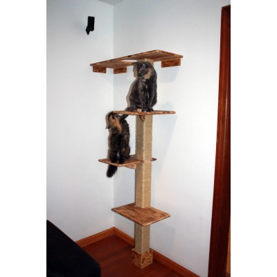 Deluxe Floor and Wall Kitty Cat Climbing Structure