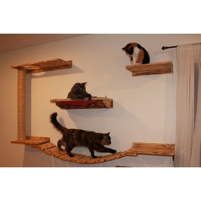 Wall Mounted Cat Play and Relax Center