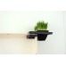 Planter - Wall Mounted for Cats