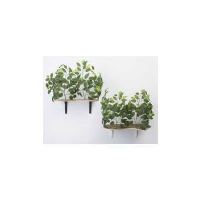 Canopy Cat Wall Shelves with Leaves - Set of (2)
