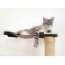 Sisal Pole - Wall Mounted for Cats