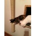 Sisal Wall Mounted Cat Scratcher & Climber Pole