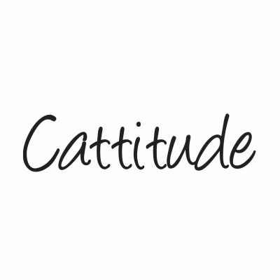 Cat Themed Wall Accent Decal - Cattitude