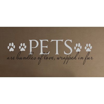 Cat Themed Wall Accent Decal - Pets are Bundles of Love