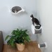 Wall Mounted Cat Play Set