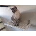 Wooden Cat Wall Shelf Covered in Plush Fabric